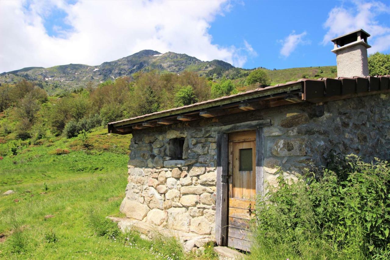 Toupinat Villa Montferrier Exterior photo