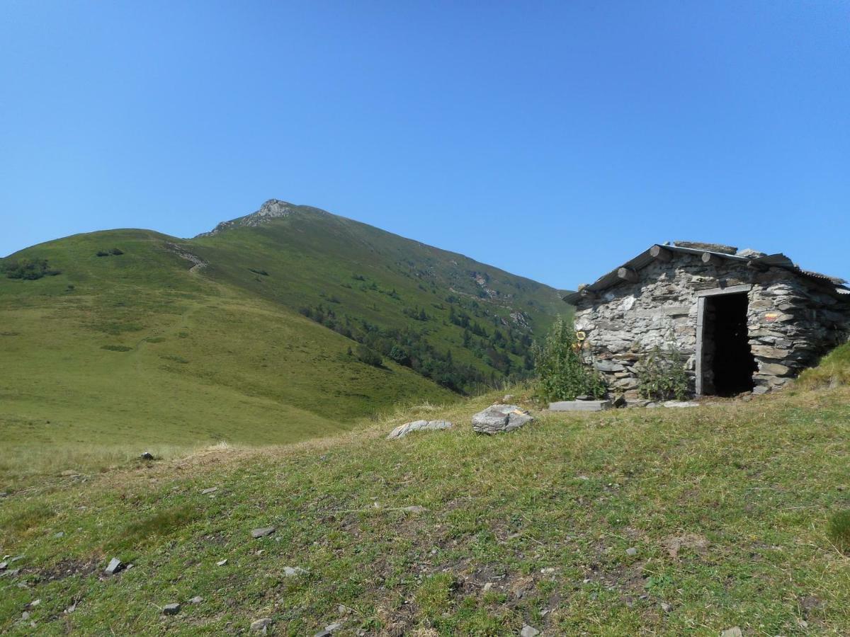 Toupinat Villa Montferrier Exterior photo